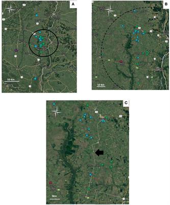 Molecular Characterization and Cluster Analysis of Field Isolates of Avian Infectious <mark class="highlighted">Laryngotracheitis Virus</mark> from Argentina